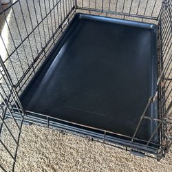 Dog Cage