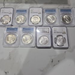 SLABBED SILVER DOLLARS