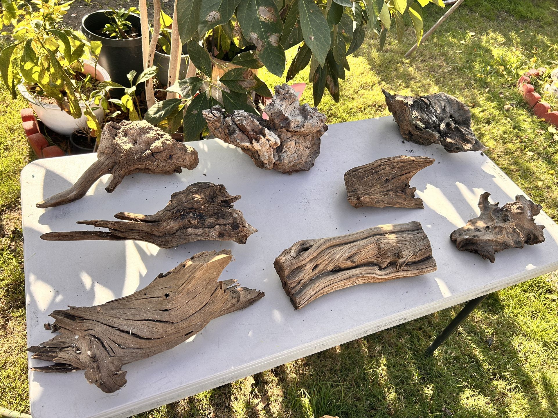 Driftwood/ reptile branches/ aquarium driftwood/ woodscape