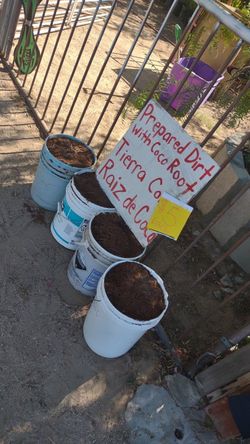 Coconut Dirt