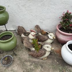 Bird Pots $20 Each