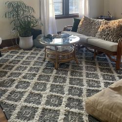 Will Area Rug