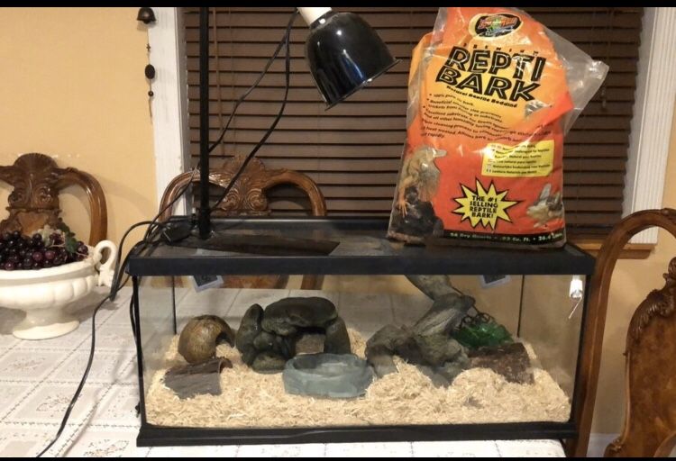 Snake enclosure set up