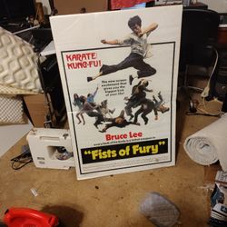 Bruce Lee  Fist Of Furry