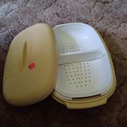 Vintage Tupperware Serving Dish