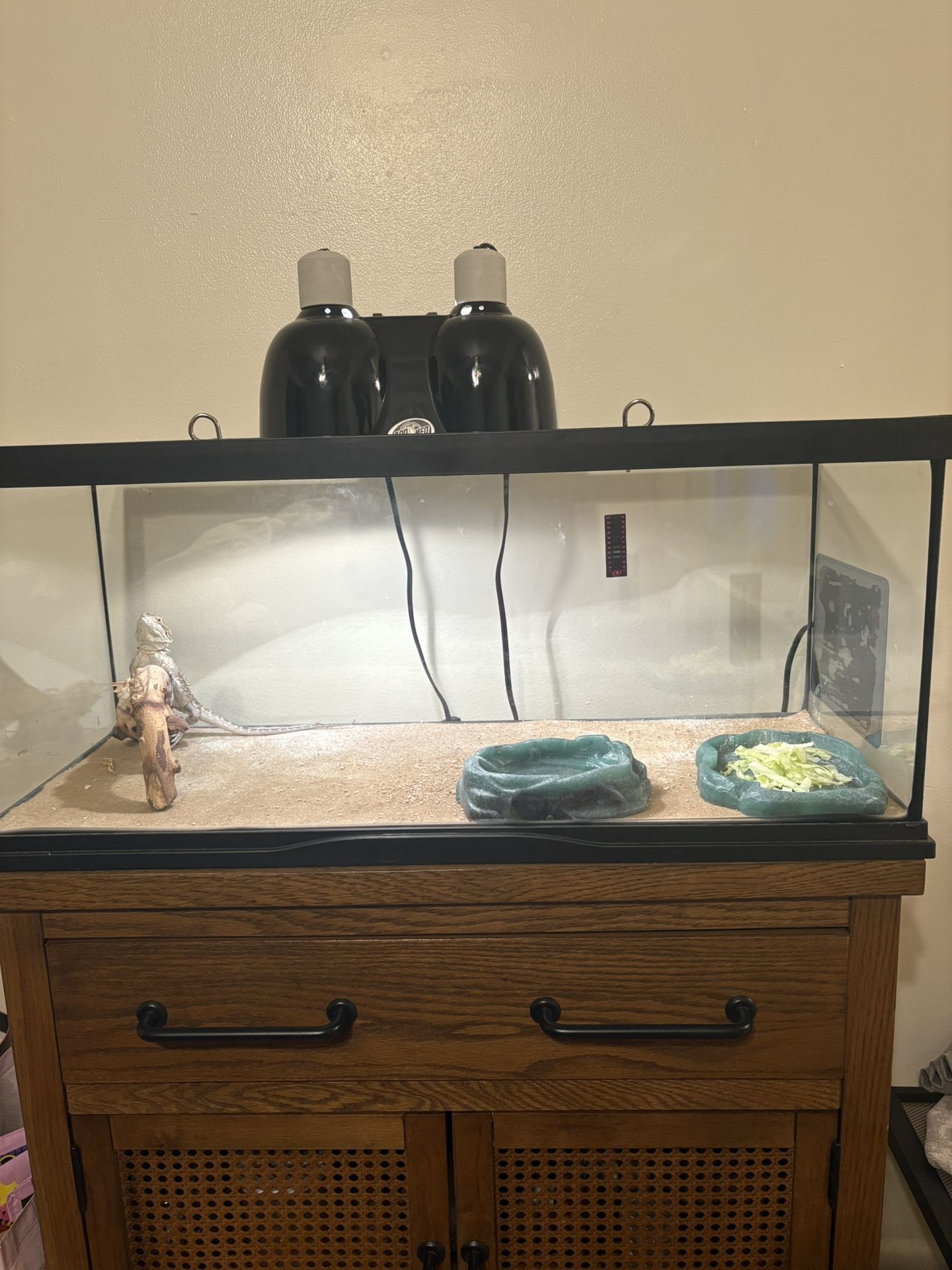 Tank And Accesories
