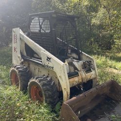 Bobcat 