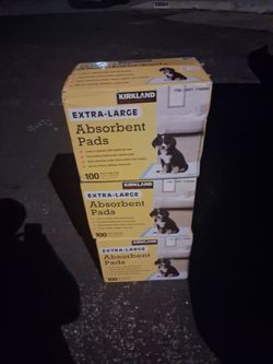 Kirkland absorbent pads 100 count