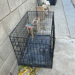 Dog Cage 