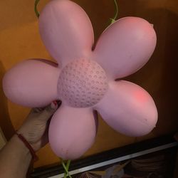 2 Flower Lights 
