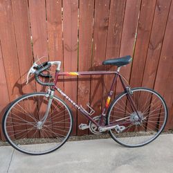 Vintage Road Bike
