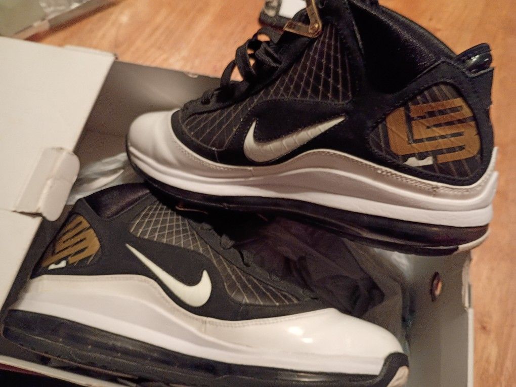 LeBron 7