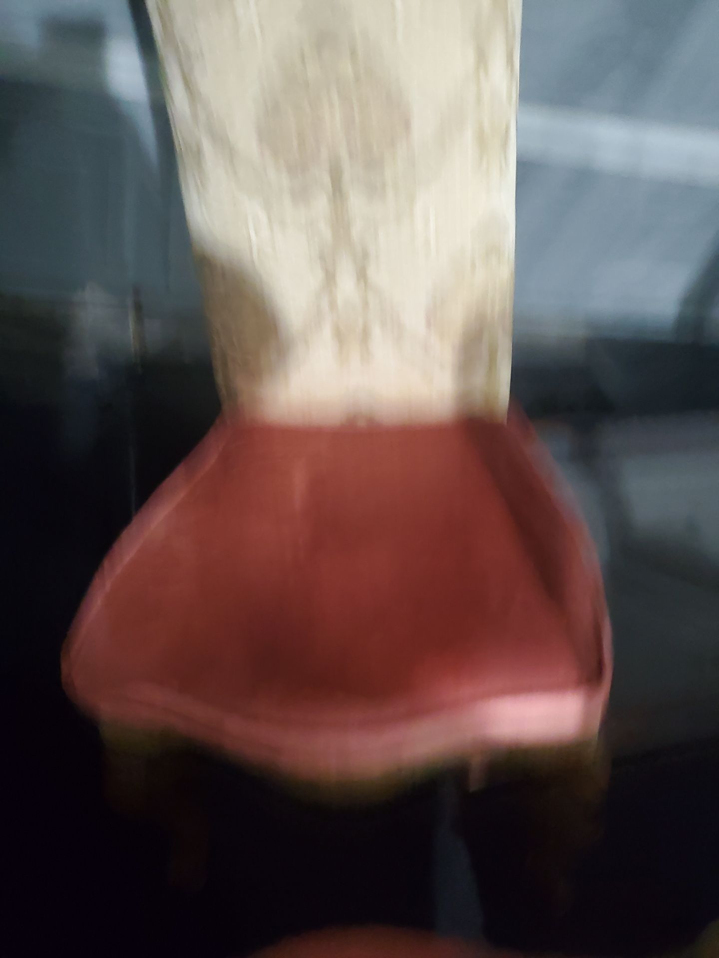 Dining Chairs Nice.
