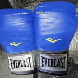 Everlast Boxing Gloves