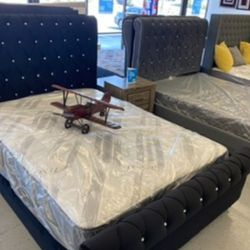 Furniture, Mattress, Boxspring, Bunk, Bed, Bedframe, Dresser, Nightstand, Chest