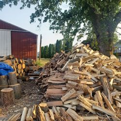 Firewood 