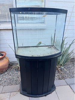 20 gallon aquarium