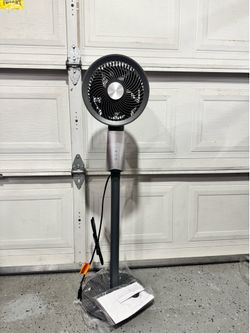 Circulator fan!