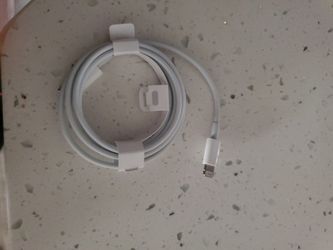 IPhone charger