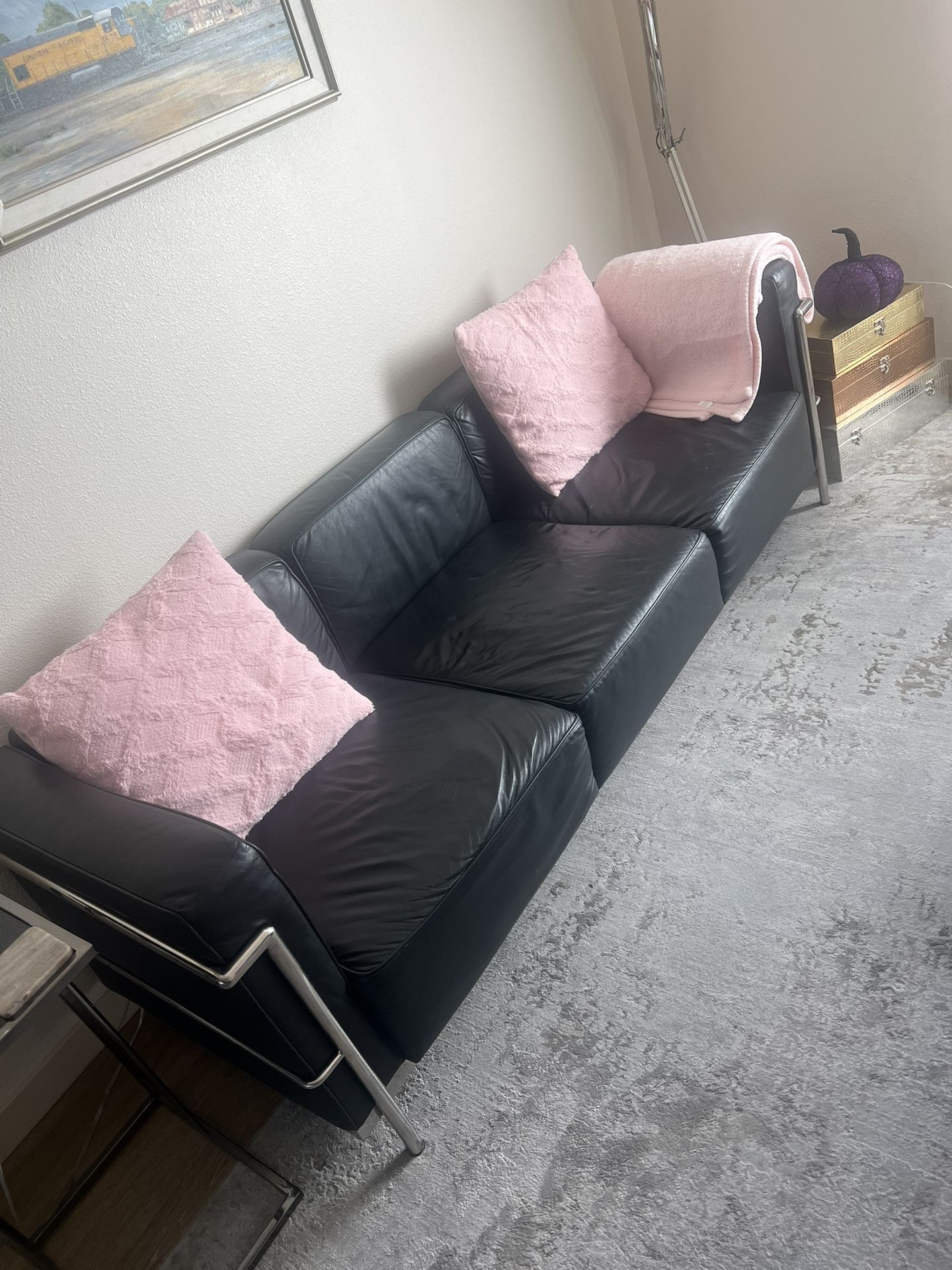 Black Leather Sofa with Metal Encasing Frame