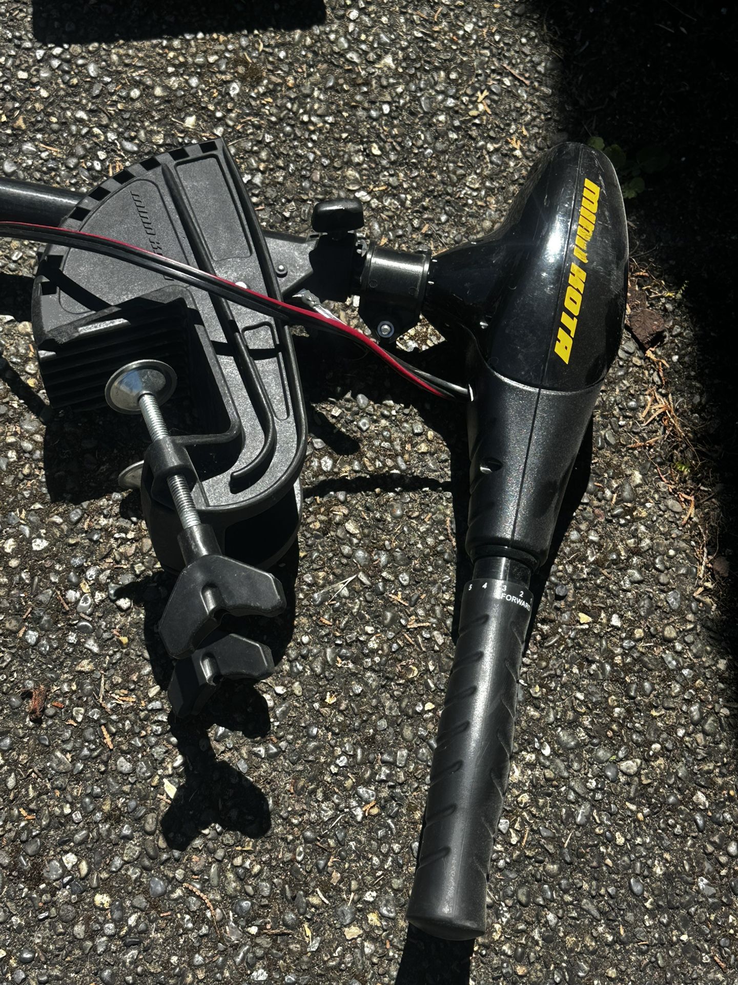 Minn Kota 30lb Endura C2 12V Trolling Motor