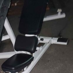 Life Fitness Adjustable Bench 