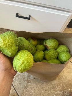 Thai guavas