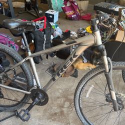 Men’s Trek Marlin 5