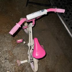 Bicicleta Rosa 