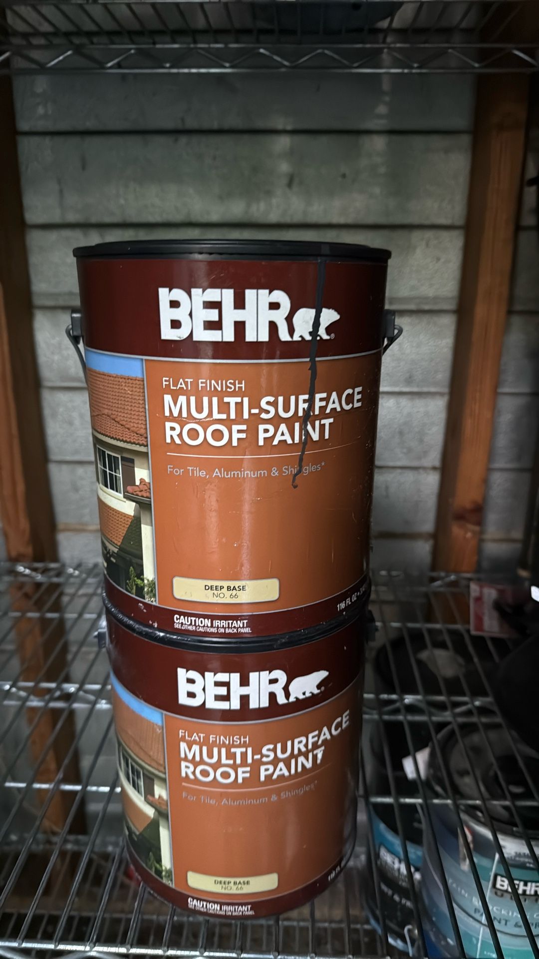 Roof Paint Techo Pintura