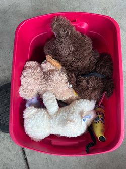 Box of stuffed animals