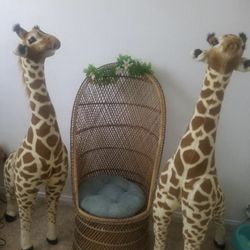 Safari Animals