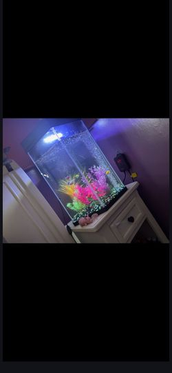 Fish tank 25 gallon