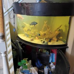 Selling  A  60 gl  Corner  Aquarium $350