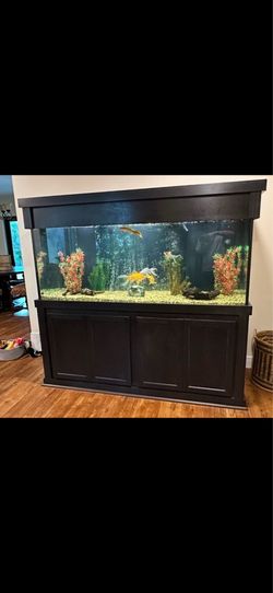 210 gallon aquarium