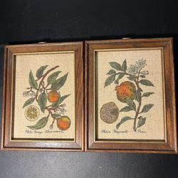 Homco 1980s Set Of 2 Botanical Orange & Pomegranate Burlap Framed Art, 8x10”