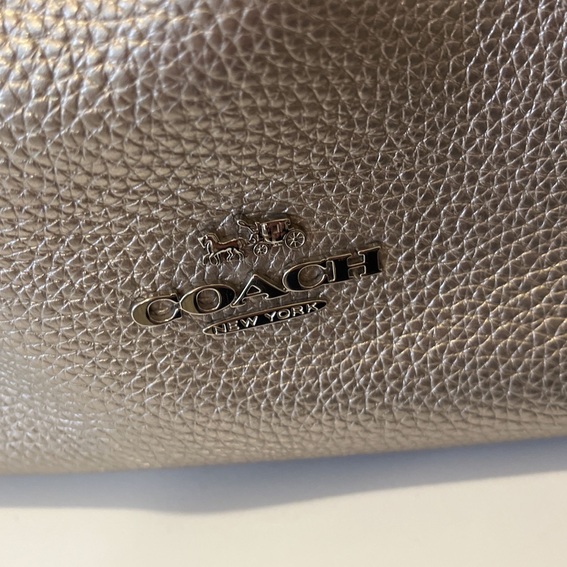 Silver coach purse