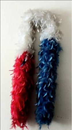 Feathered Boa