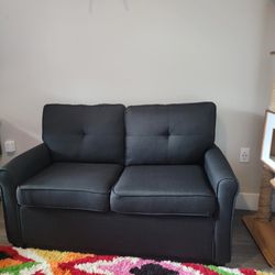 Need Gone By 5/7! Love Seat W/ Fold Out Bed & Outlets