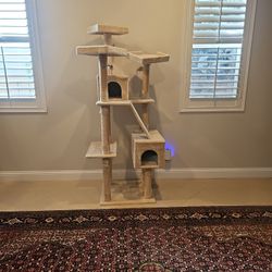 Cat Tree