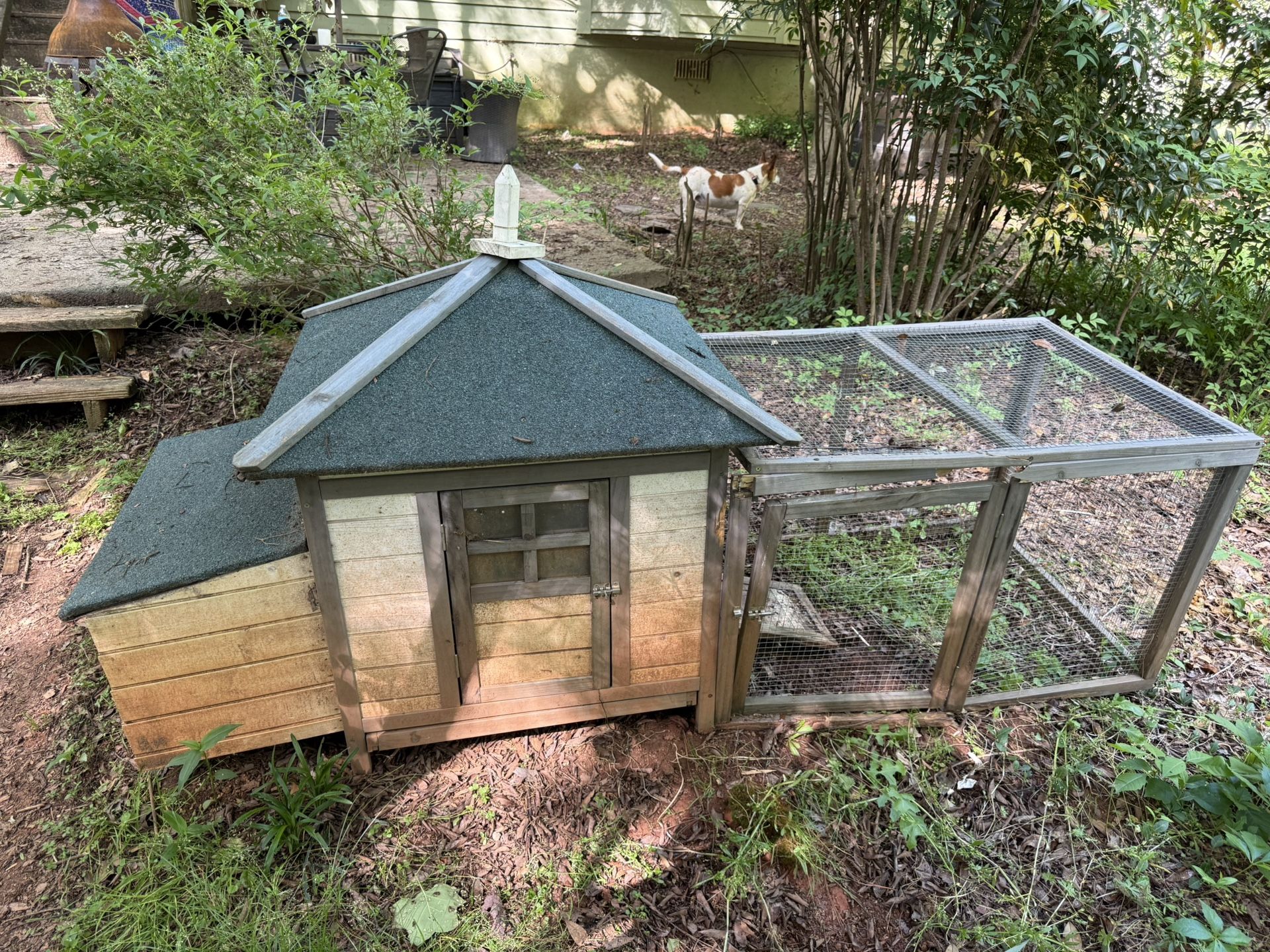 Chicken Coop