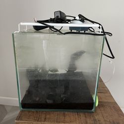 Fish Tanks / Aquarium 