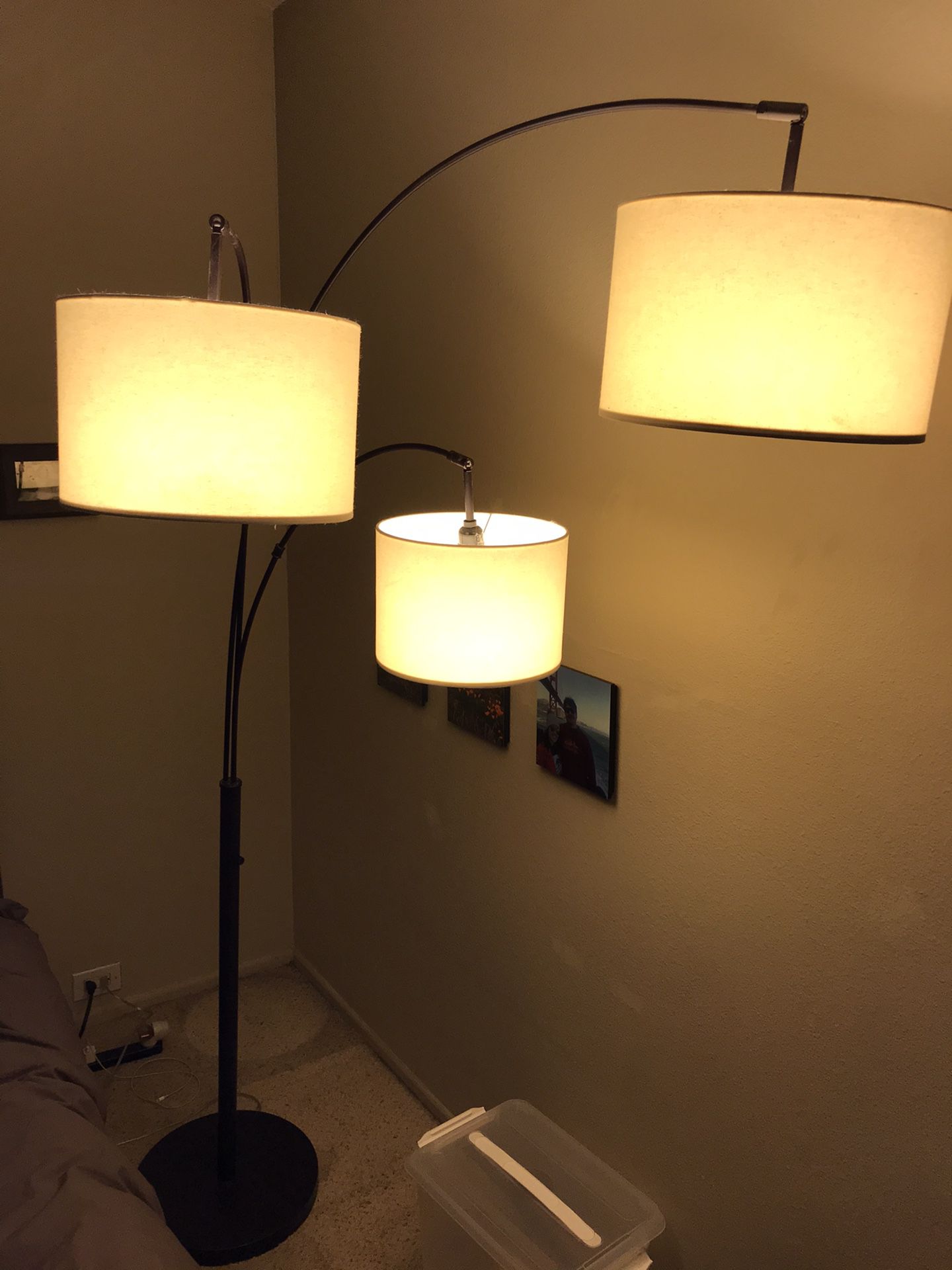 Beautiful 3-Light Floor Lamp