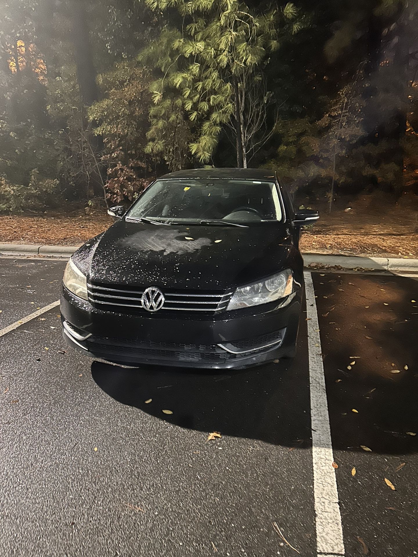 2013 Volkswagen Passat