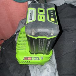 Green Works Battery And Charger 