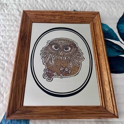 Vintage Glenn Heath Owl Art Prints on Mirror. MCM 1970’s Big Eye Colorful owl mirror print 14 3/8” tall x 11 1/4” wide framed in nice solid wood with 