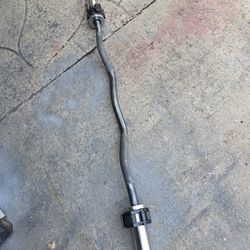Weight Curl Bar 