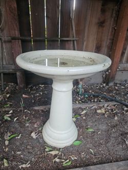 Concrete bird bath
