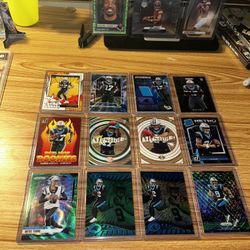 Panthers Lot 🔵⚪️