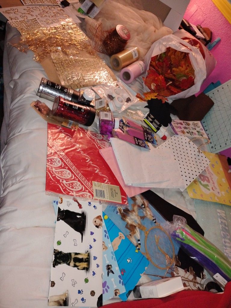 HUGE Craft & Art Package